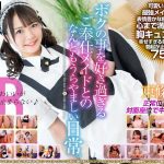 【VR】東條なつ ボクのことを好き過ぎるご奉仕メイドとのなんともうらやましい日常。 ほとばしる乙女心に胸キュン！はにかみ笑顔が最強かわいいツインテメイドと中出しエッチ！